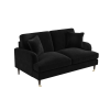 Black Velvet 2 Seater Sofa - Payton - Image 4