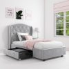 Grey Velvet Single Bed Frame with Storage Drawer - Safina - Image 3